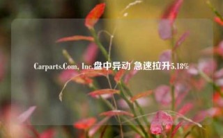 Carparts.Com, Inc.盘中异动 急速拉升5.18%