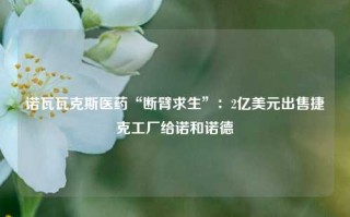 诺瓦瓦克斯医药“断臂求生”：2亿美元出售捷克工厂给诺和诺德