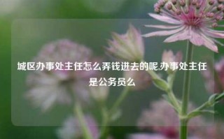 城区办事处主任怎么弄钱进去的呢,办事处主任是公务员么