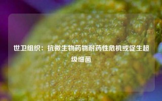 世卫组织：抗微生物药物耐药性危机或促生超级细菌