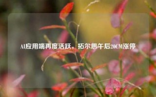 AI应用端再度活跃，拓尔思午后20CM涨停