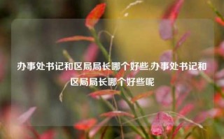 办事处书记和区局局长哪个好些,办事处书记和区局局长哪个好些呢