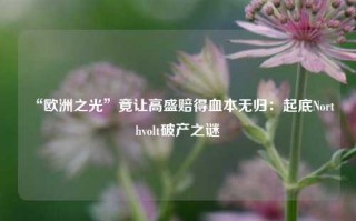 “欧洲之光”竟让高盛赔得血本无归：起底Northvolt破产之谜