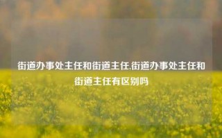 街道办事处主任和街道主任,街道办事处主任和街道主任有区别吗