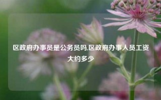 区政府办事员是公务员吗,区政府办事人员工资大约多少