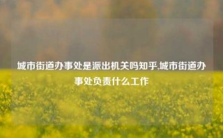 城市街道办事处是派出机关吗知乎,城市街道办事处负责什么工作