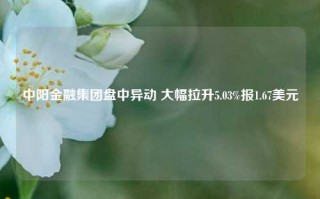 中阳金融集团盘中异动 大幅拉升5.03%报1.67美元