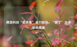 佛塑科技“蛇吞象”金力股份，“肥了”大小摩和高盛