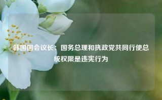 韩国国会议长：国务总理和执政党共同行使总统权限是违宪行为