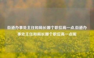 街道办事处主任和局长哪个职位高一点,街道办事处主任和局长哪个职位高一点呢