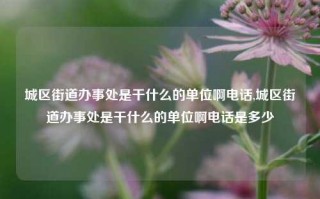 城区街道办事处是干什么的单位啊电话,城区街道办事处是干什么的单位啊电话是多少