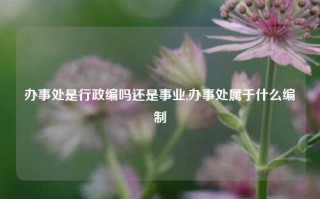 办事处是行政编吗还是事业,办事处属于什么编制