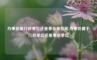 办事处是行政单位还是事业单位呢,办事处属于行政单位还是事业单位