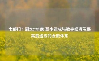 七部门：到2027年底 基本建成与数字经济发展高度适应的金融体系