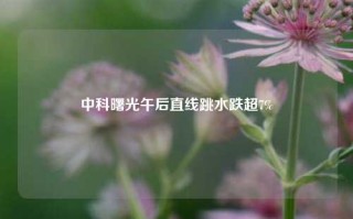 中科曙光午后直线跳水跌超7%