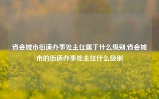 省会城市街道办事处主任属于什么级别,省会城市的街道办事处主任什么级别