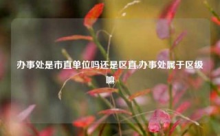 办事处是市直单位吗还是区直,办事处属于区级嘛