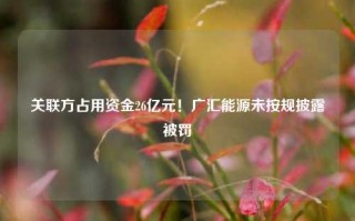 关联方占用资金26亿元！广汇能源未按规披露被罚