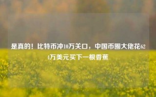 是真的！比特币冲10万关口，中国币圈大佬花624万美元买下一根香蕉