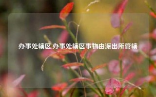 办事处辖区,办事处辖区事物由派出所管辖