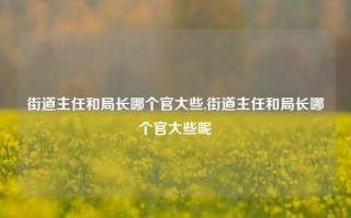 街道主任和局长哪个官大些,街道主任和局长哪个官大些呢