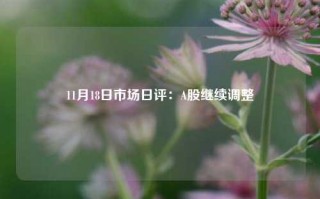 11月18日市场日评：A股继续调整