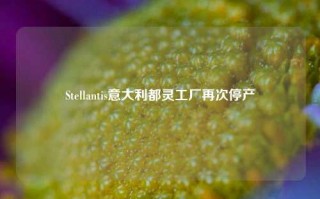 Stellantis意大利都灵工厂再次停产