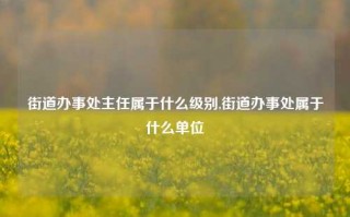 街道办事处主任属于什么级别,街道办事处属于什么单位