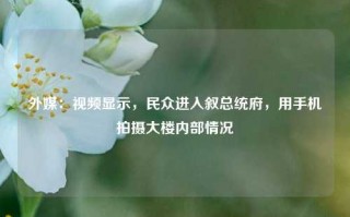 外媒：视频显示，民众进入叙总统府，用手机拍摄大楼内部情况