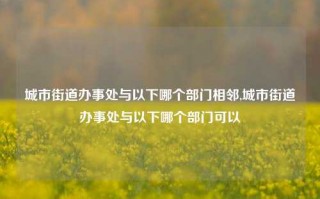 城市街道办事处与以下哪个部门相邻,城市街道办事处与以下哪个部门可以