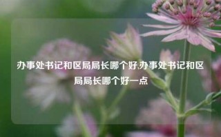 办事处书记和区局局长哪个好,办事处书记和区局局长哪个好一点