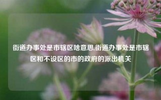 街道办事处是市辖区啥意思,街道办事处是市辖区和不设区的市的政府的派出机关