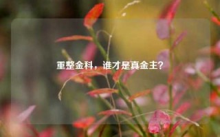 重整金科，谁才是真金主？