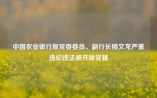 中国农业银行原党委委员、副行长楼文龙严重违纪违法被开除党籍