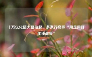 十万亿化债大幕拉起，多家行高呼“用足用好化债政策”