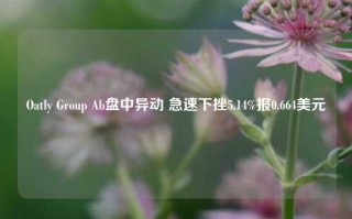 Oatly Group Ab盘中异动 急速下挫5.14%报0.664美元