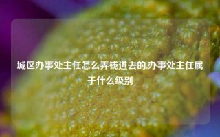 城区办事处主任怎么弄钱进去的,办事处主任属于什么级别