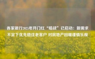 各家银行2025年开门红“暗战”已启动：新需求不足下优先稳住老客户 对房地产回暖谨慎乐观