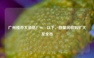 广州楼市大消息！90㎡以下，存量房收购扩大至全市