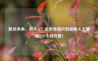 既见未来，何不AI？全市场首只创业板人工智能ETF今日开售！