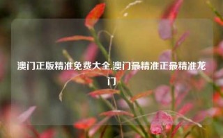 澳门正版精准免费大全,澳门最精准正最精准龙门