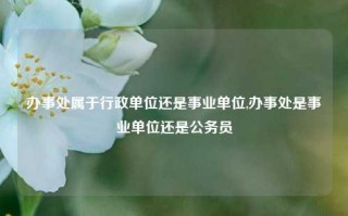 办事处属于行政单位还是事业单位,办事处是事业单位还是公务员