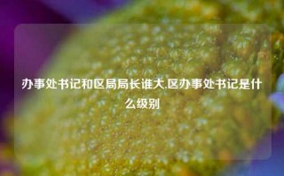 办事处书记和区局局长谁大,区办事处书记是什么级别