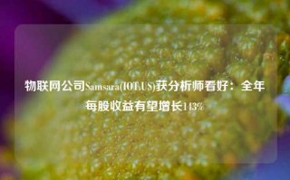 物联网公司Samsara(IOT.US)获分析师看好：全年每股收益有望增长143%