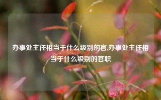 办事处主任相当于什么级别的官,办事处主任相当于什么级别的官职