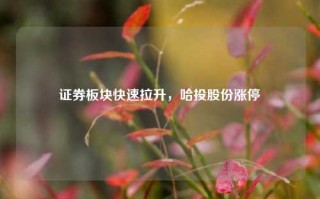 证券板块快速拉升，哈投股份涨停