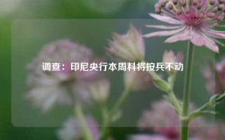 调查：印尼央行本周料将按兵不动