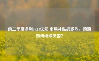 前三季度净利26.11亿元 市场补贴战激烈，滴滴如何继续突围？