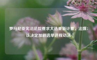 罗马尼亚宪法法院要求大选重新计票，法媒：该决定加剧选举进程动荡