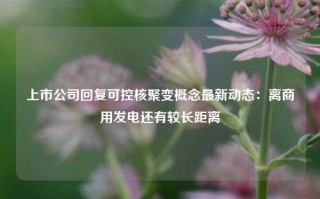 上市公司回复可控核聚变概念最新动态：离商用发电还有较长距离